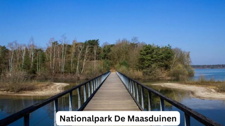 Nationalpark De Maasduinen