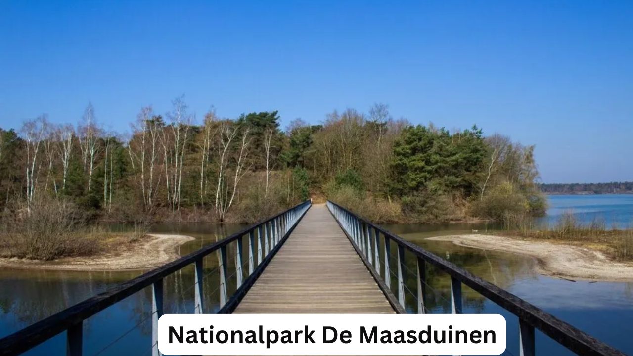 Nationalpark De Maasduinen