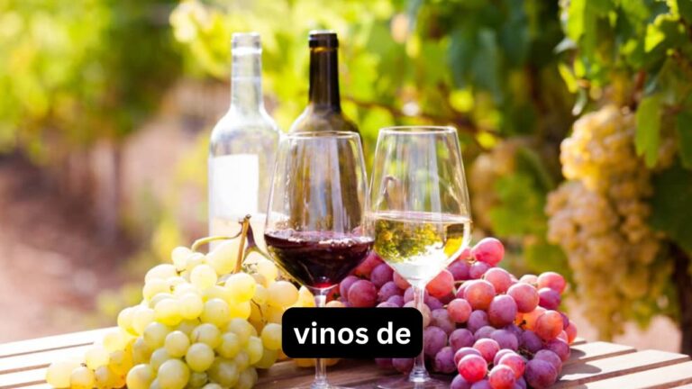 vinos de