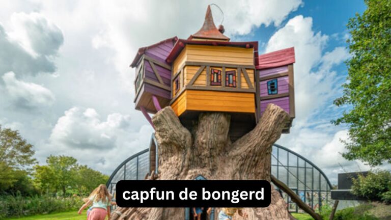 Capfun de Bongerd